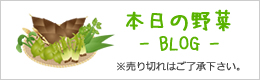 本日の野菜BLOG