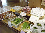 朝採れ直売/山菜