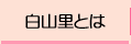 白山里とは
