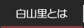 白山里とは